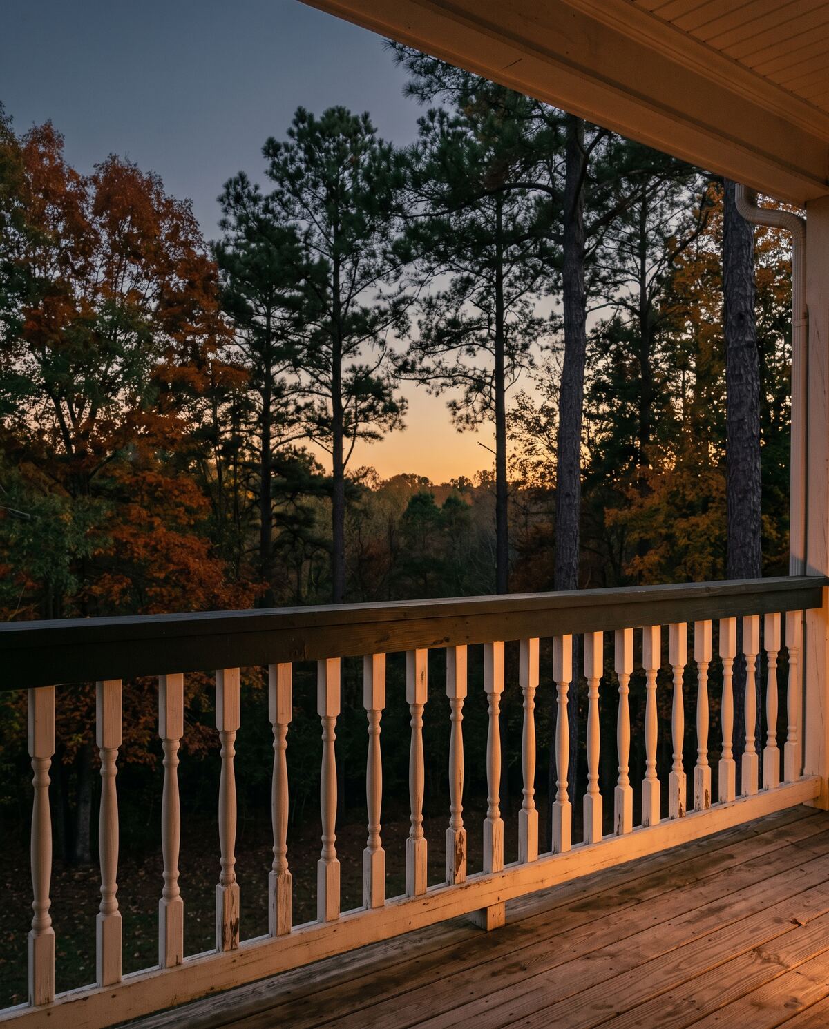 Warm light falling across the balusters of a Southern back porch at dusk, with longleaf pines and red oaks in late-autumn color beyond the railing